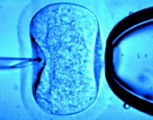 can hypnosis increase fertility width=